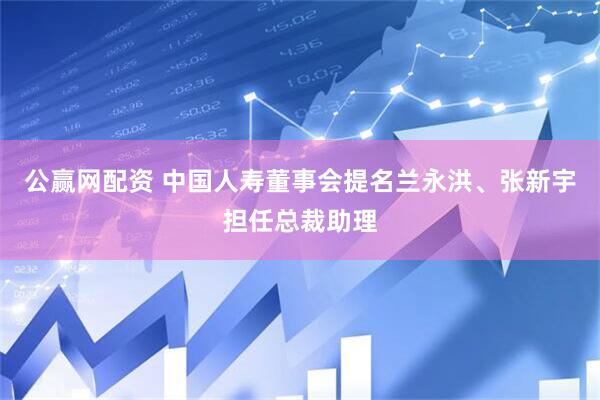 公赢网配资 中国人寿董事会提名兰永洪、张新宇担任总裁助理