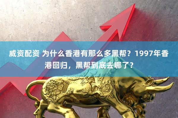 威资配资 为什么香港有那么多黑帮？1997年香港回归，黑帮到底去哪了？