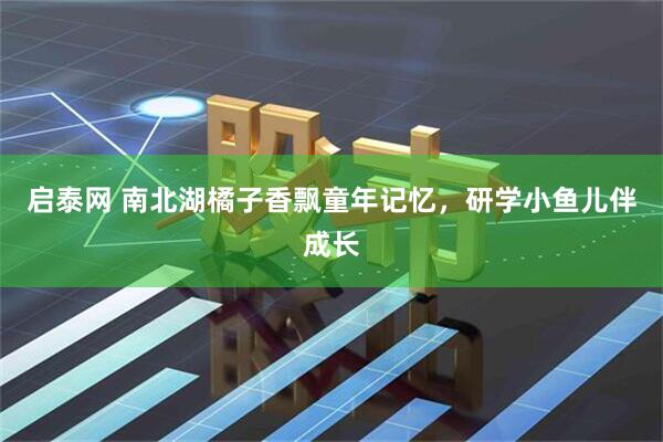 启泰网 南北湖橘子香飘童年记忆，研学小鱼儿伴成长